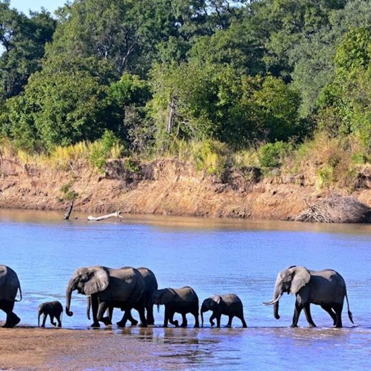 https://www.easykargo.com/wp-content/uploads/2016/07/Zambiya-Yurtdisi-Kargo-3-540x540.jpg