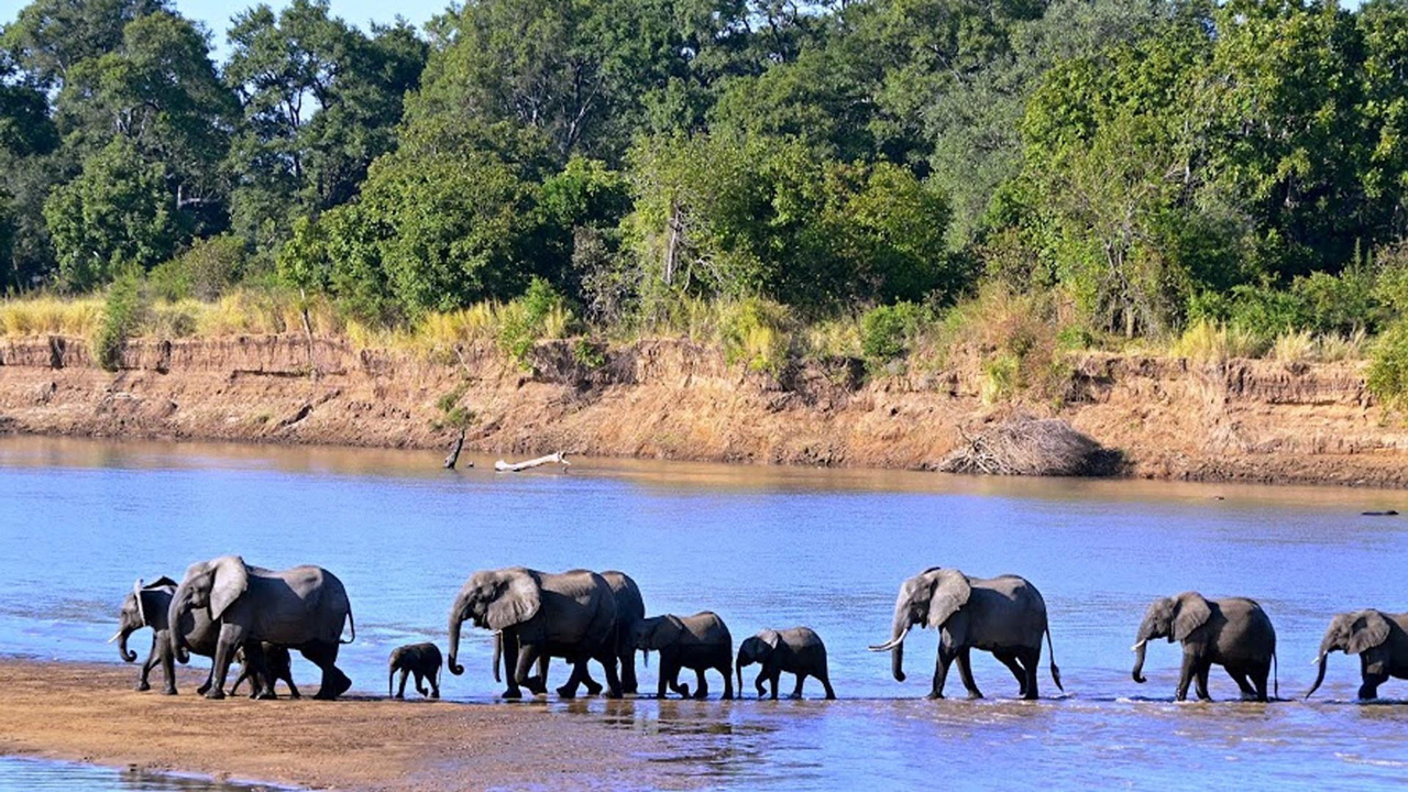 https://www.easykargo.com/wp-content/uploads/2016/07/Zambiya-Yurtdisi-Kargo-3.jpg